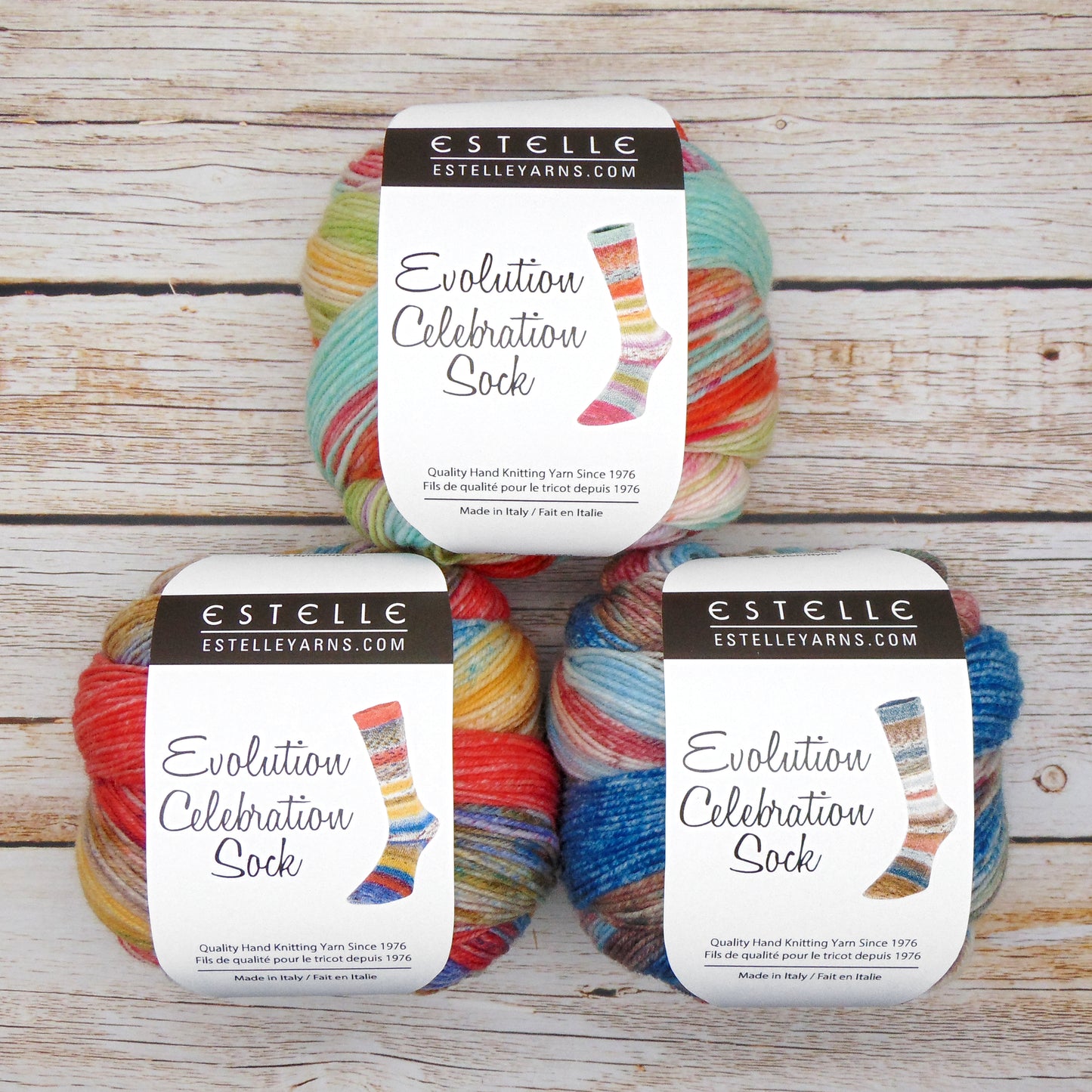 EVOLUTION CELEBRATION SOCK