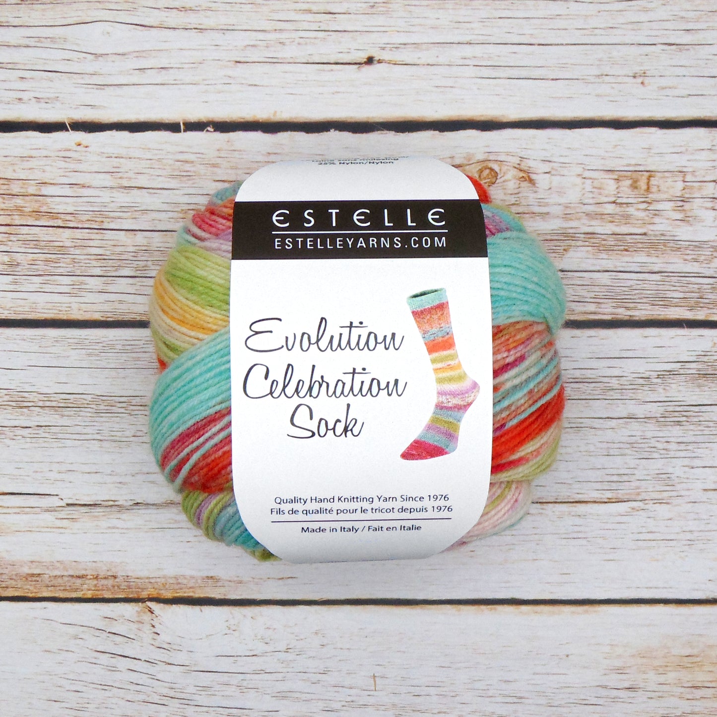 EVOLUTION CELEBRATION SOCK