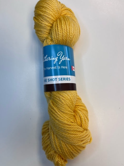 Gathering Yarns- Santa Monica Painted