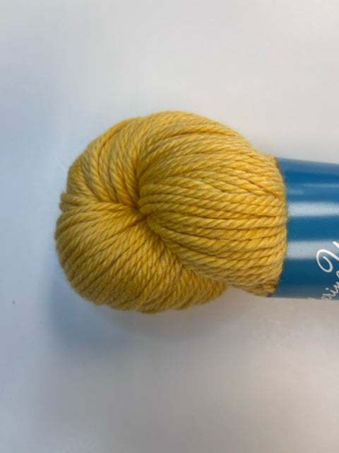 Gathering Yarns- Santa Monica Painted