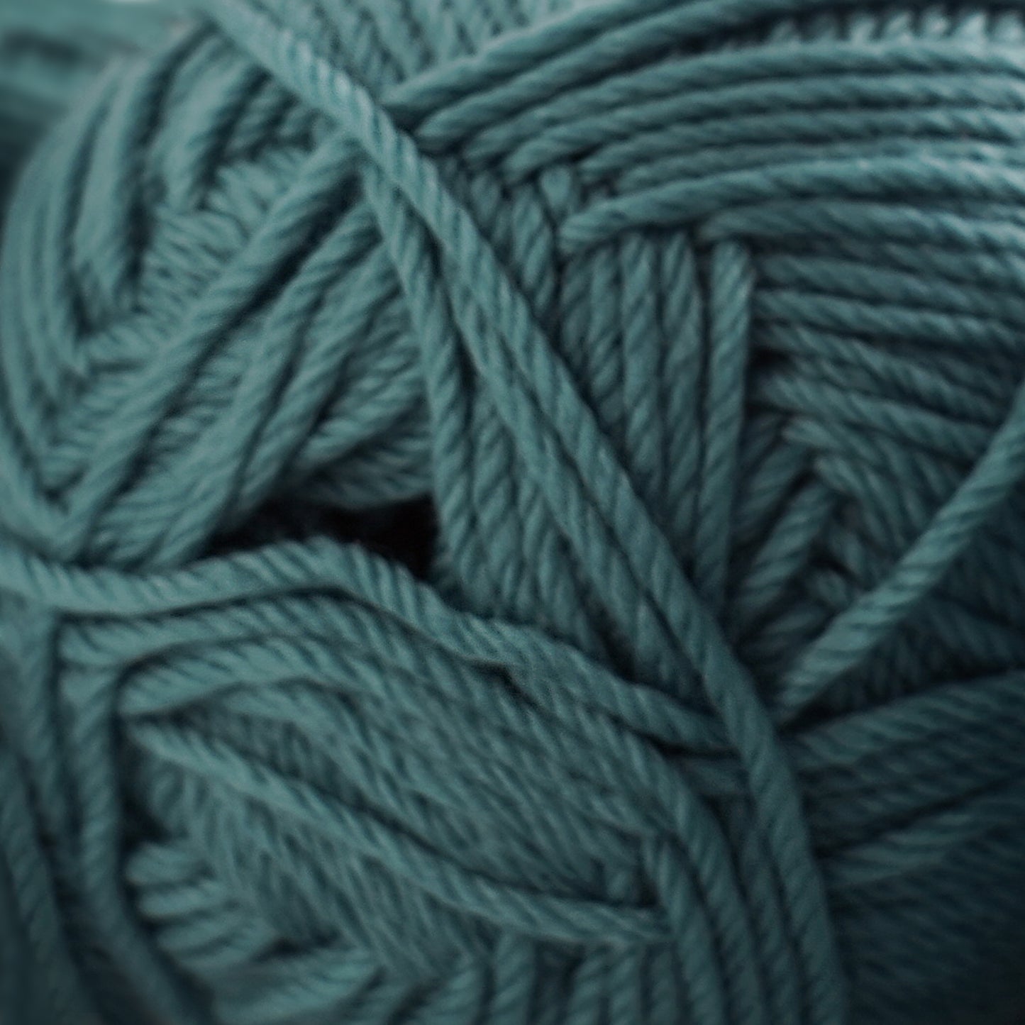 Cascade 220 Superwash Merino
