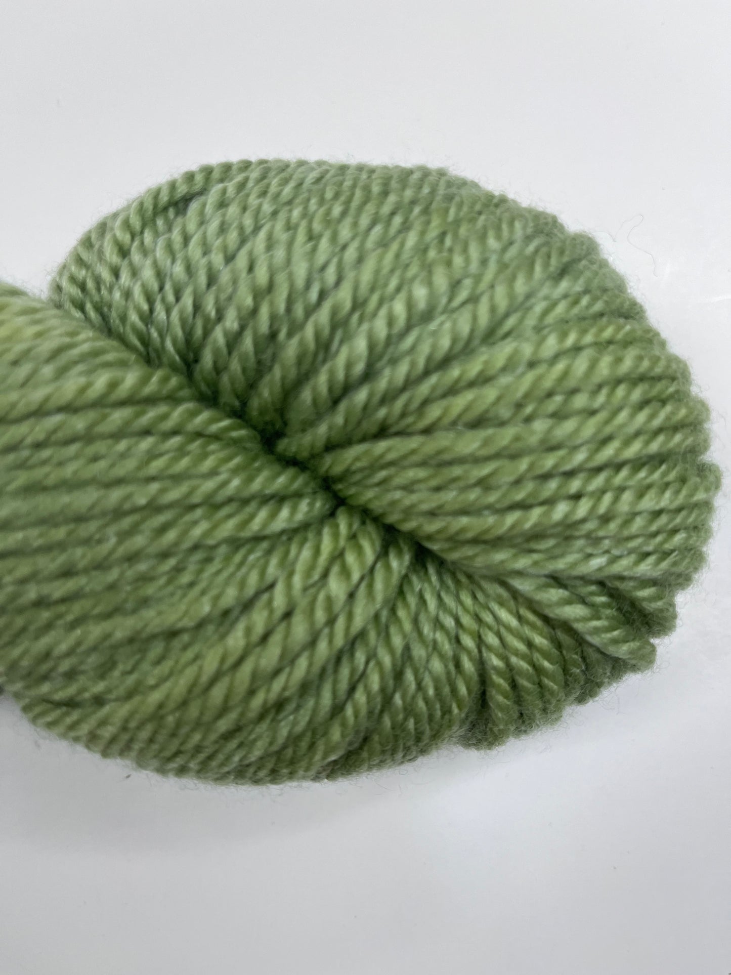 Gathering Yarns- Santa Monica Painted