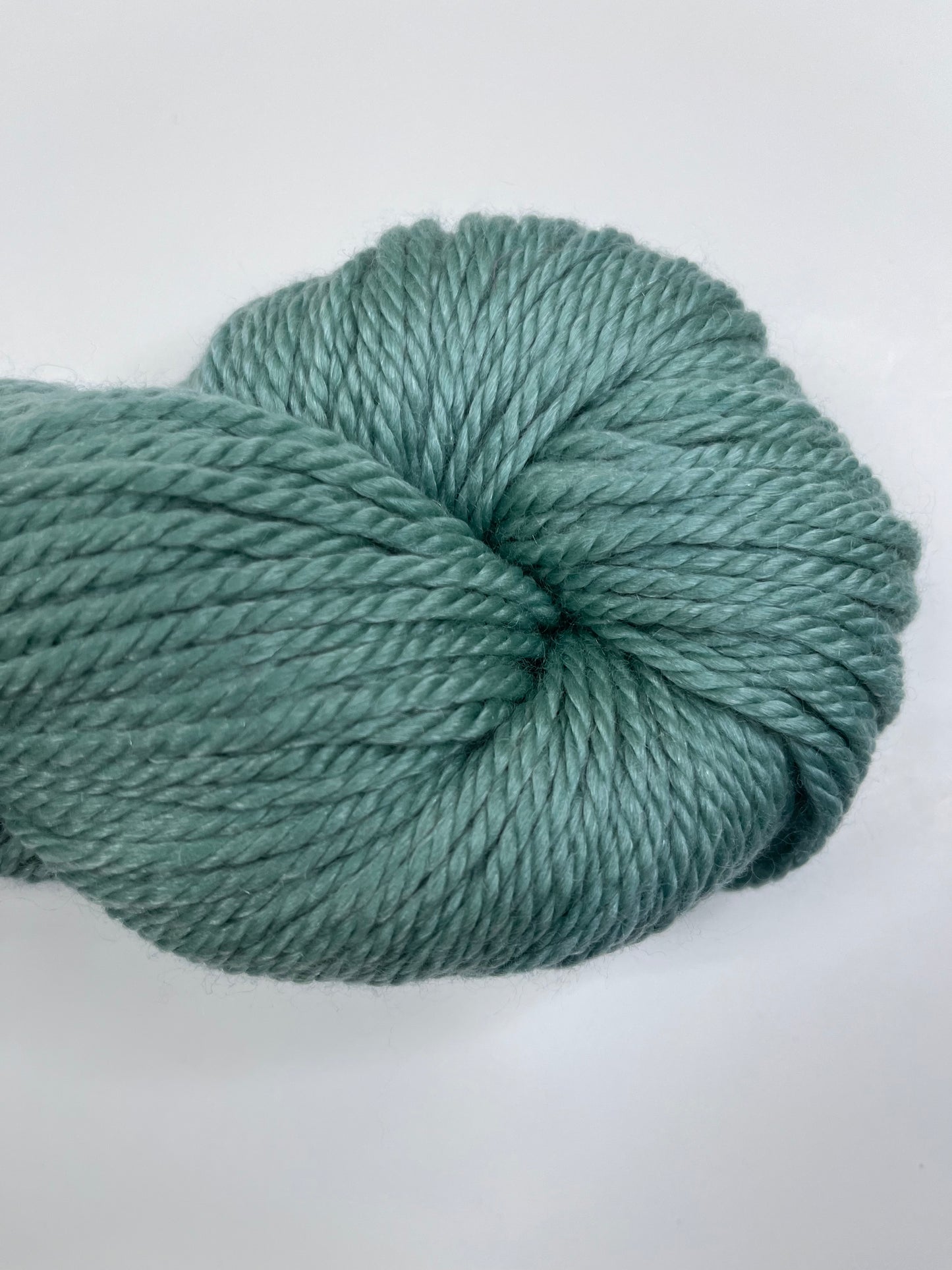 Gathering Yarns- Santa Monica Painted