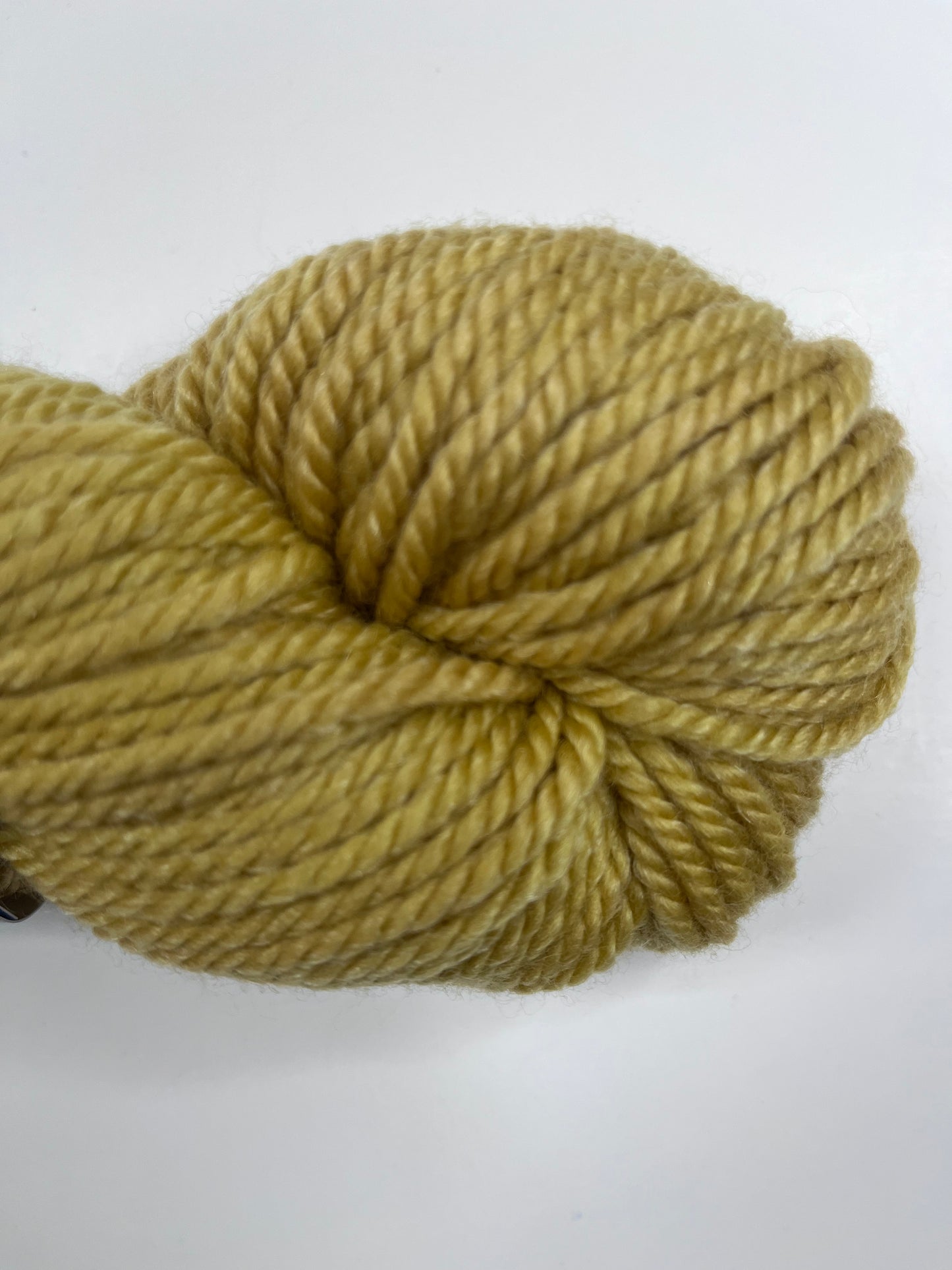 Gathering Yarns- Santa Monica Painted
