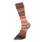 EVOLUTION CELEBRATION SOCK