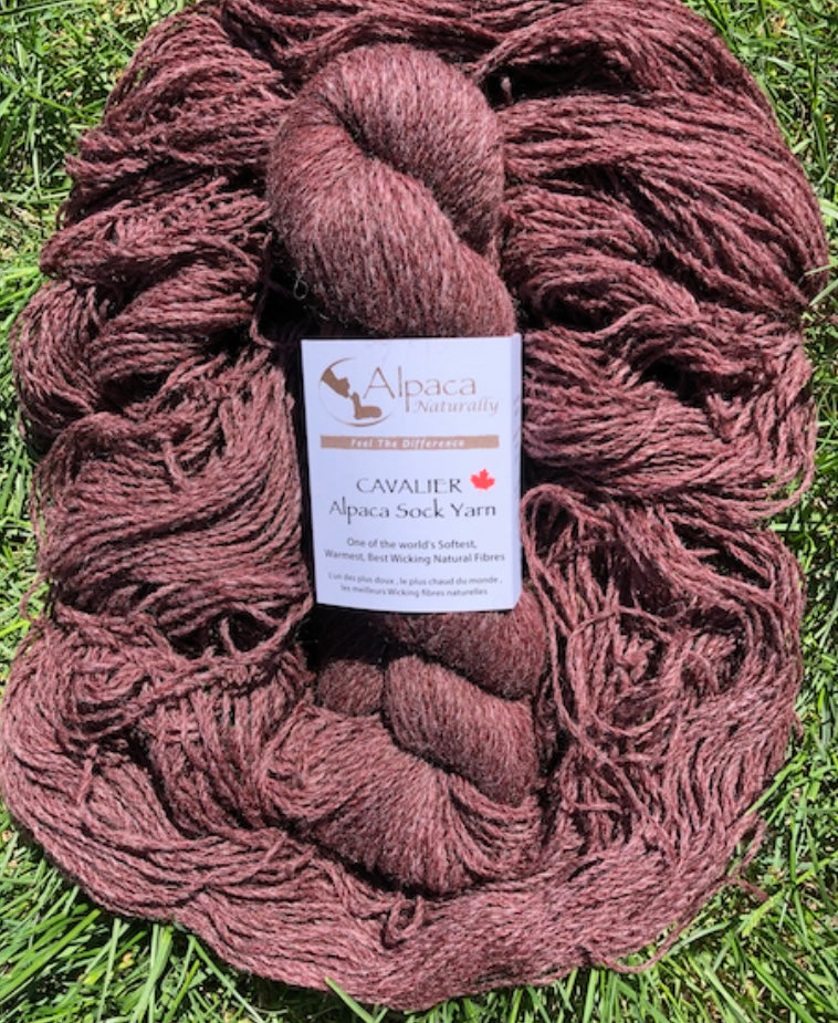 Cavalier Alpaca Sock Yarn