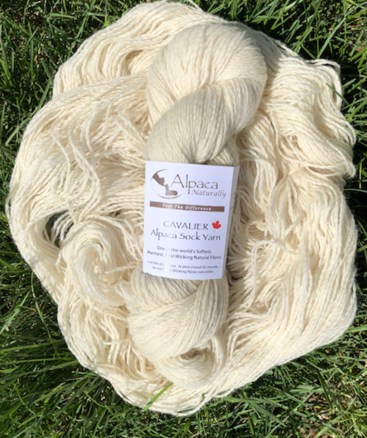 Cavalier Alpaca Sock Yarn