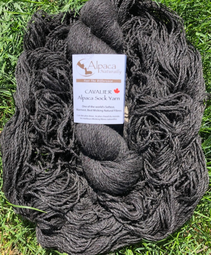 Cavalier Alpaca Sock Yarn