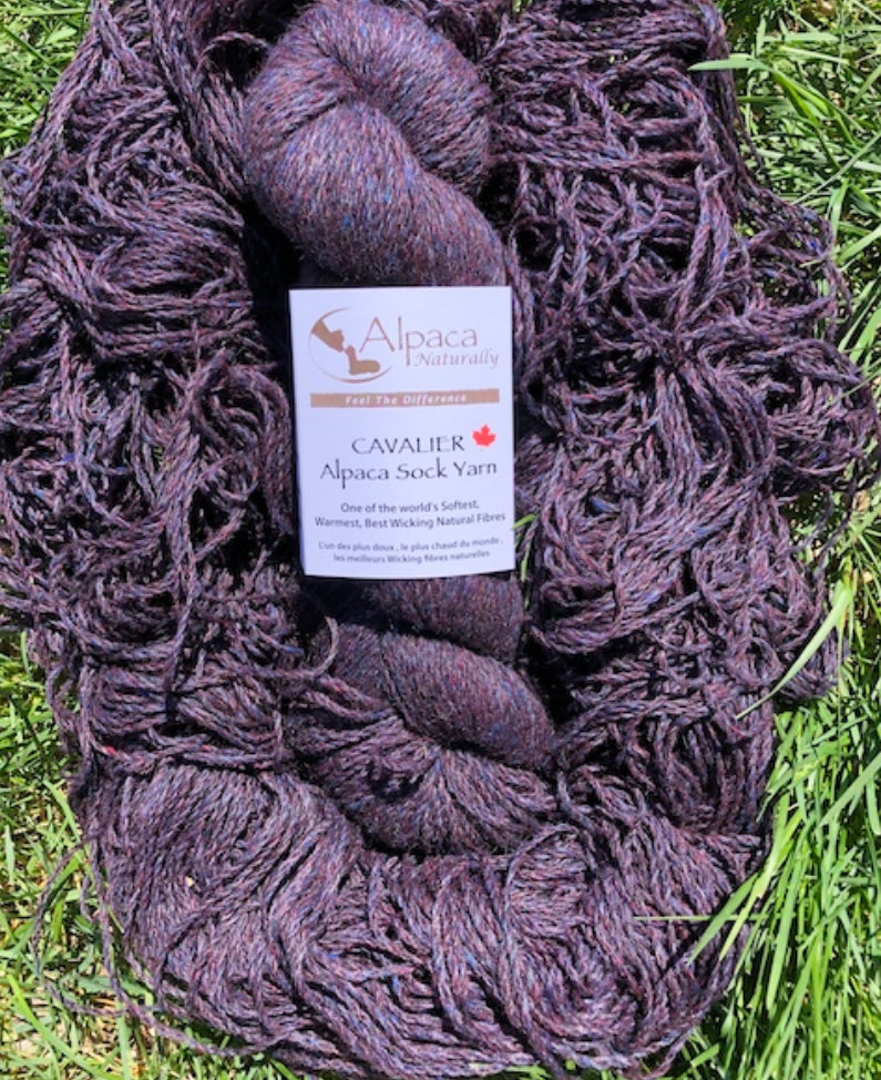 Cavalier Alpaca Sock Yarn