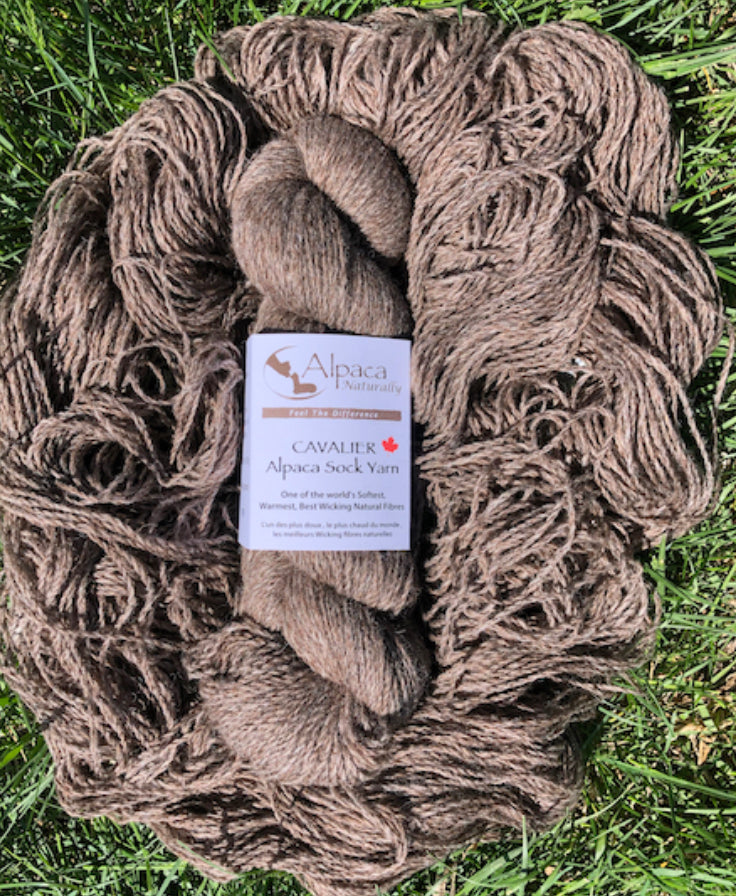 Cavalier Alpaca Sock Yarn